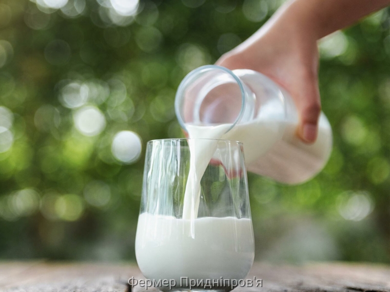 З початку травня в Сумщині зменшуються закупівельні ціни на молоко-сировину