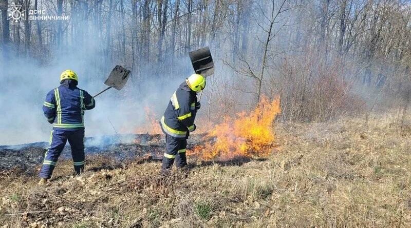 На Черкащині покарання отримали 16 паліїв сухостою. Пожежі і порушників виявляють дрони