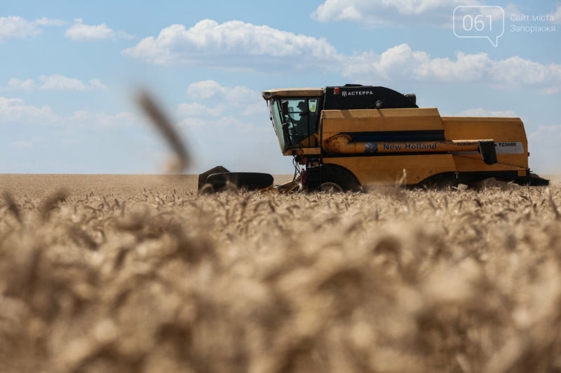 «В мене немає, кому робити»: історія запорізького фермера, який 40 років очолює агропідприємство