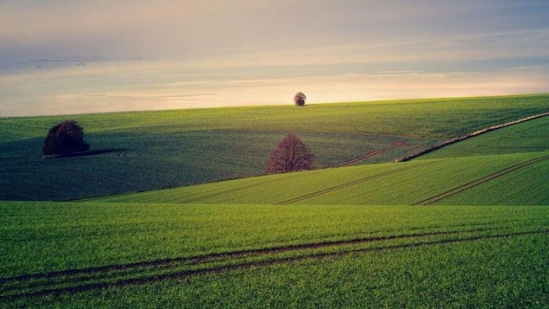 На Миколаївщині прокуратура конфіскувала землі, які належали громадянам рф