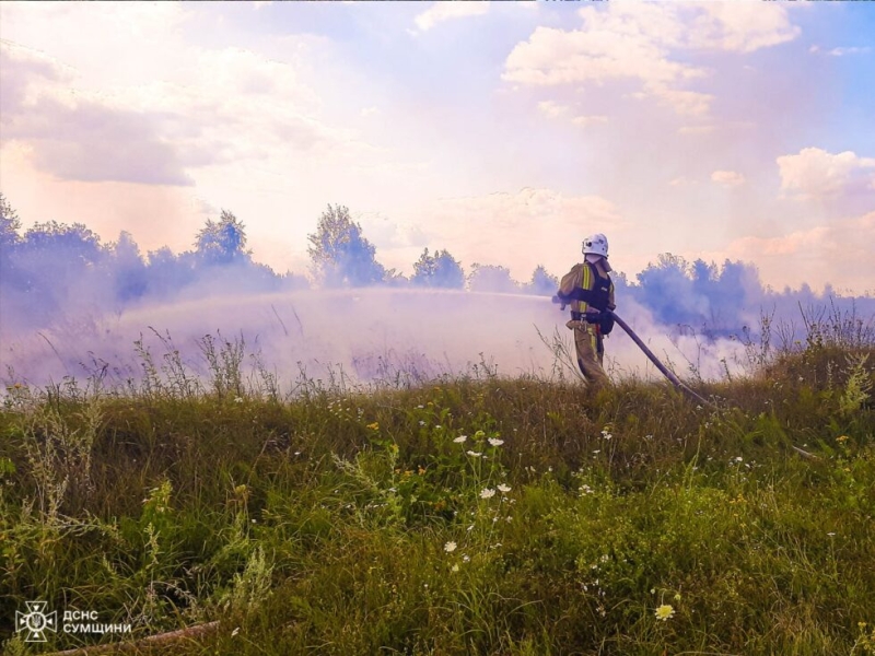 На Сумщині пожежники упродовж доби п’ять разів ліквідовували загоряння на відкритих територіях (ВІДЕО)