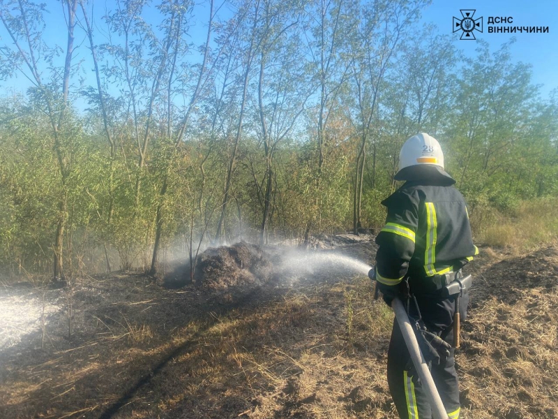 На Вінниччині сталося 10 пожеж в екосистемах