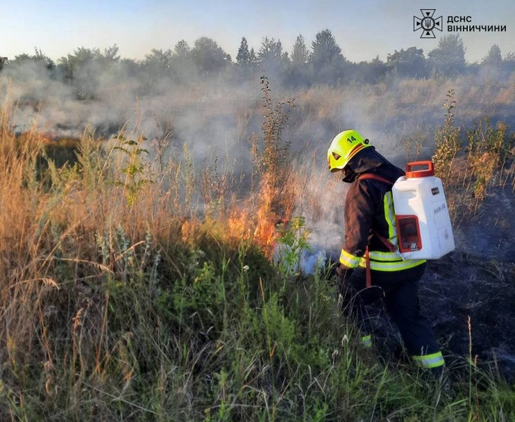 На Вінниччині сталося 10 пожеж в екосистемах