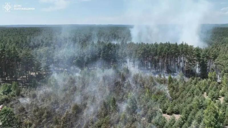 Неподалік Полтави локалізували лісову пожежу на площі майже 2 га