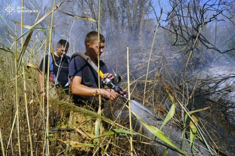 Запорізькі рятувальники гасили 25 пожеж у екосистемах