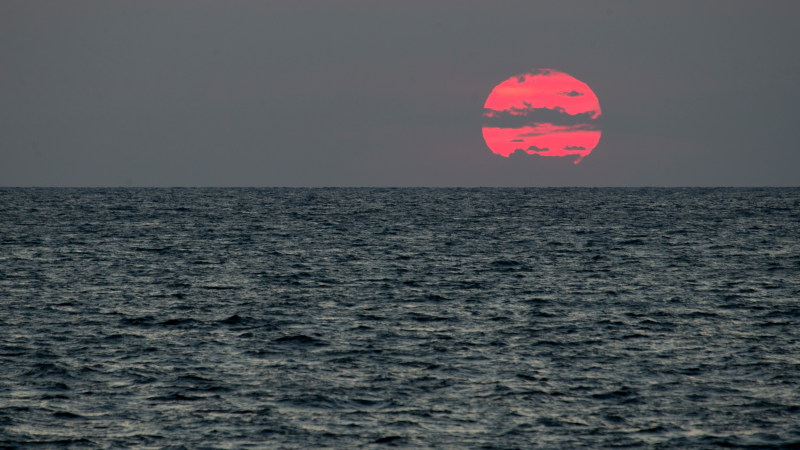 Румунія знешкодила дрейфуючу міну біля узбережжя Чорного моря