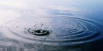 На Львівщині у річці Дністер потонув чоловік