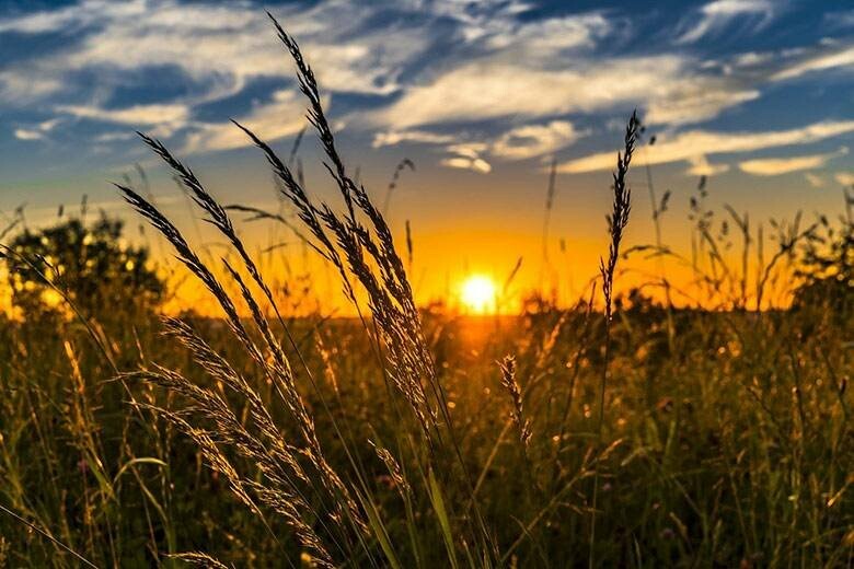 Хмарно та без опадів. Якою буде погода в перший день очень, - ФОТО