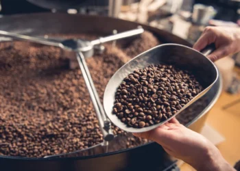 Як кофеїн впливає на організм людини