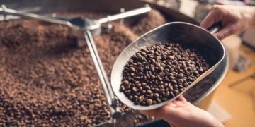 Як кофеїн впливає на організм людини