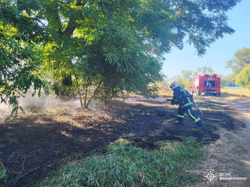 На Вінниччині сталося 16 пожеж в екосистемах