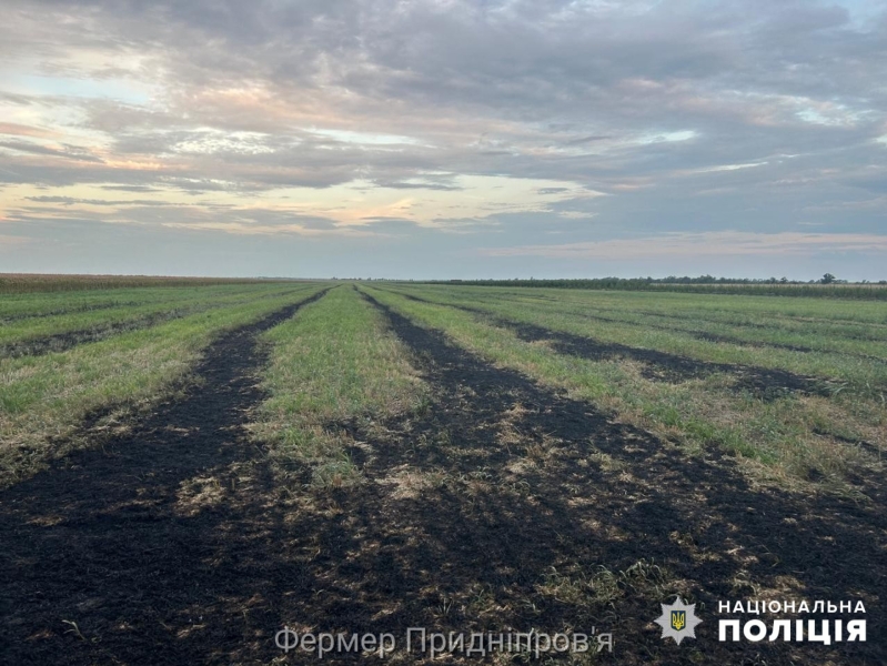 Житель села на Одещині зібрав врожай та підпалив стерню