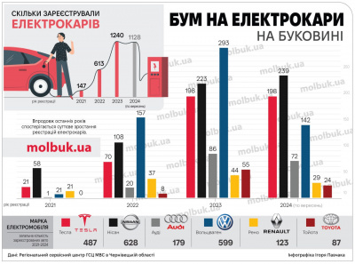 На Буковині – бум на електрокари: зареєстрували рекордну кількість - інфографіка