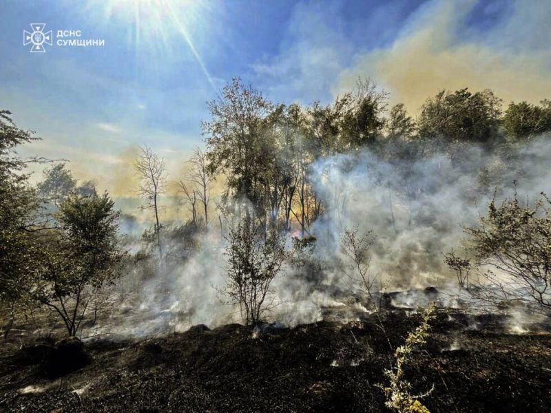 На Сумщині вогнеборці 17 разів ліквідовували загоряння на відкритих територіях