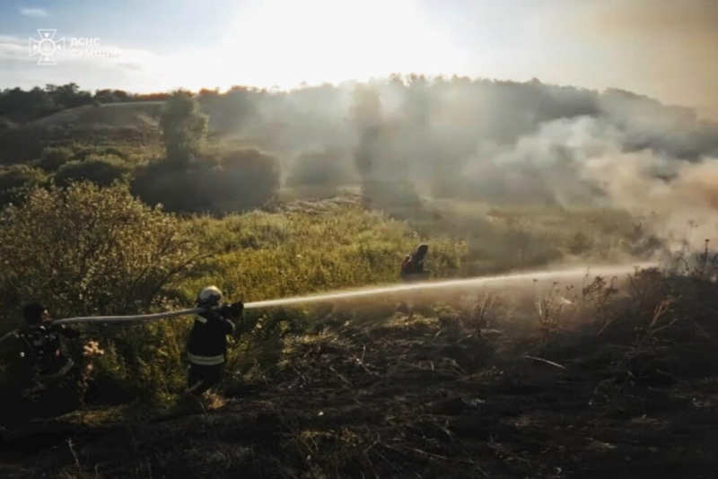 На Сумщині вогнеборці 36 разів ліквідовували загоряння сухої рослинності