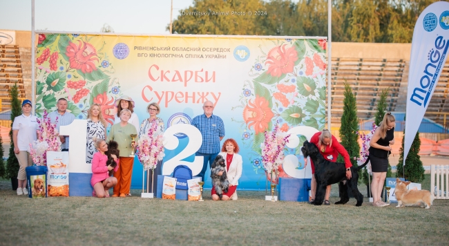 У Рівному пройшла масштабна виставка собак