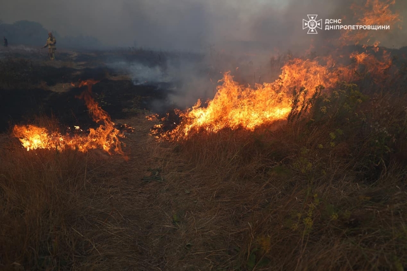 В Петриківщині вогонь на 47 га лісу локалізували, горіли три будівлі і авто, постраждала людина