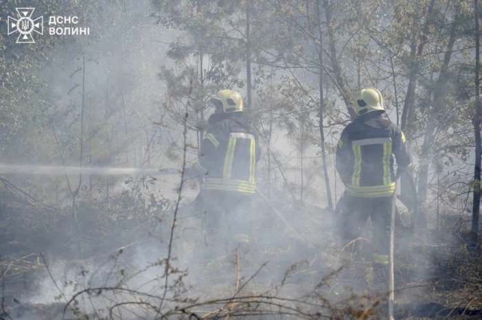 За добу у Луцькому районі сталося вісім пожеж сухої трави