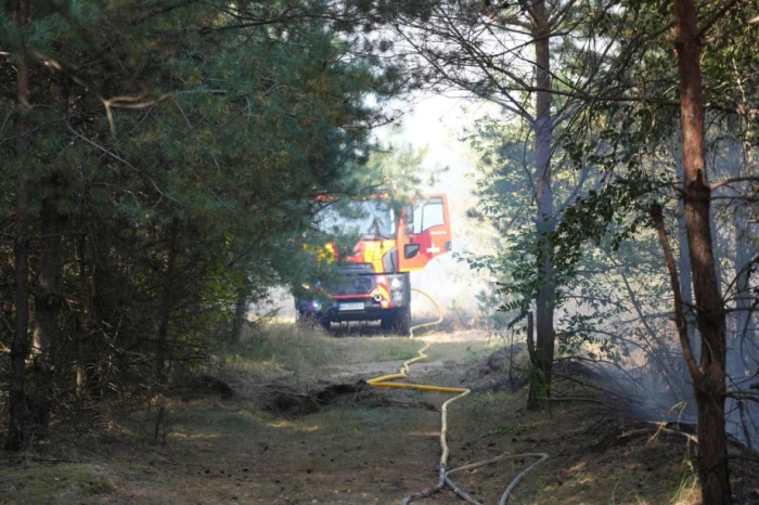 За добу у Луцькому районі сталося вісім пожеж сухої трави