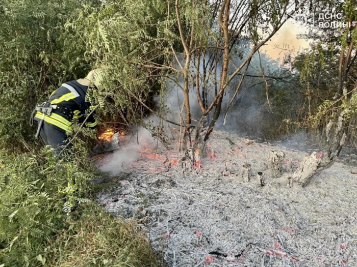 За добу у Луцькому районі сталося вісім пожеж сухої трави