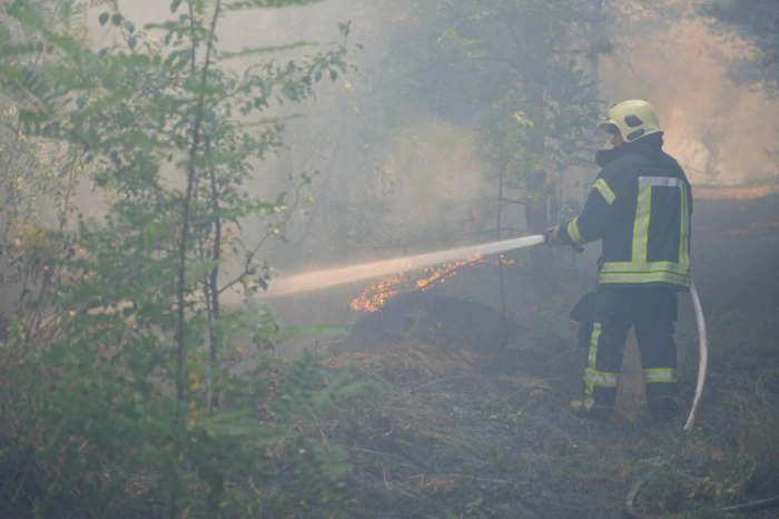 За добу у Луцькому районі сталося вісім пожеж сухої трави