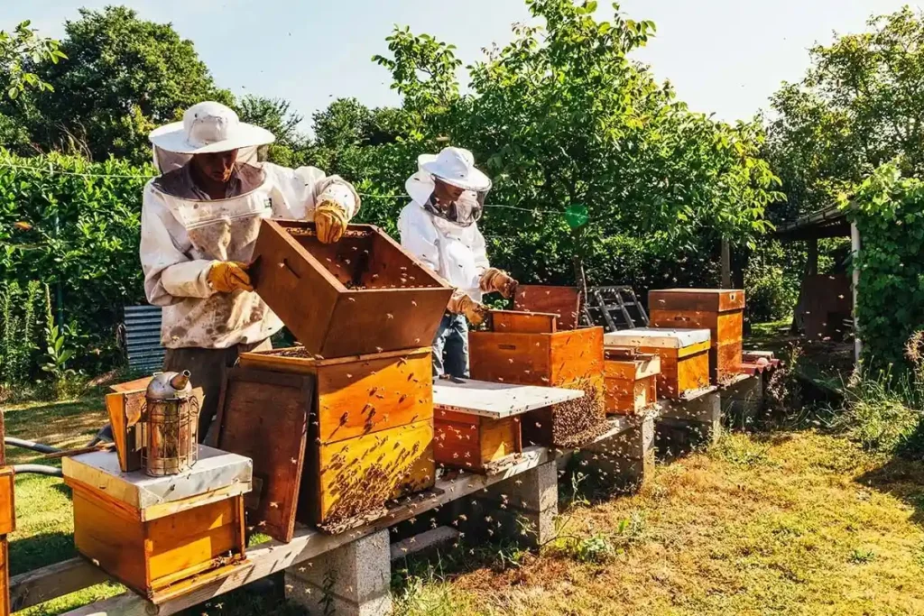 оборудование для пасеки