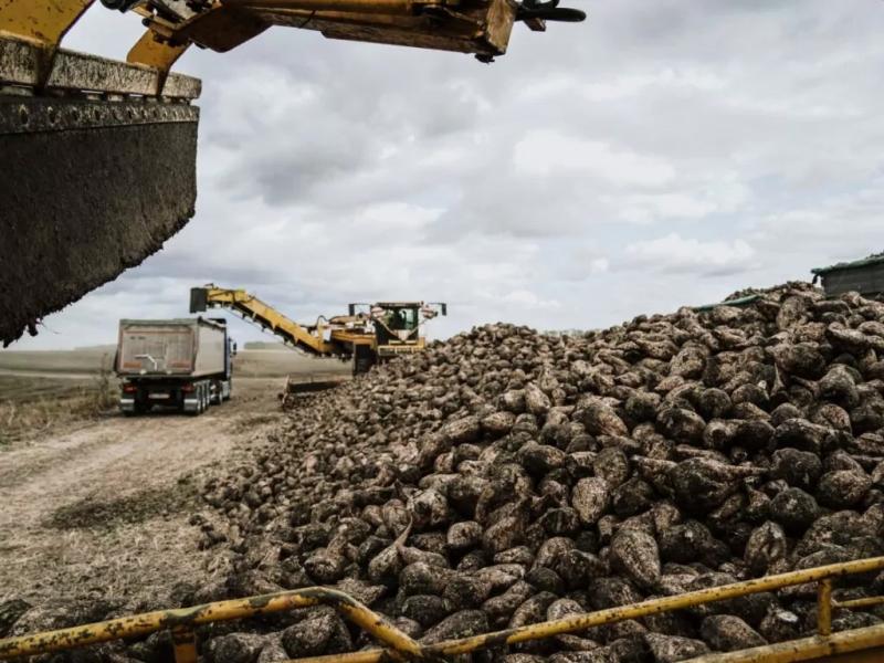 Полтавщина зібрала понад 4 мільйони тонн зернових та утримує друге місце в Україні