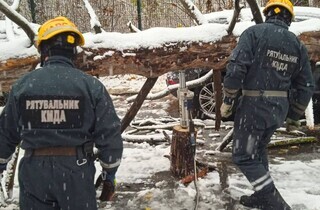 У Києві через негоду дерева падають на автомобілі (фото)