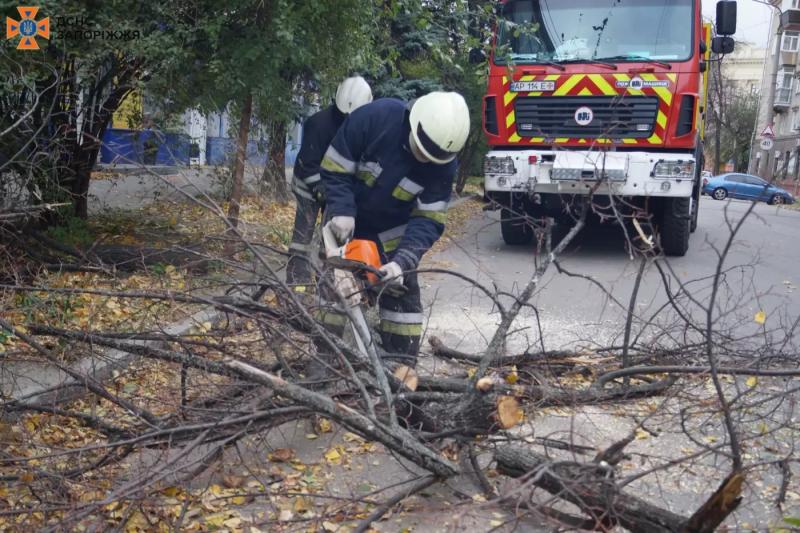 Наслідки негоди в Запоріжжі: сильний вітер валив дерева на дороги - ФОТО