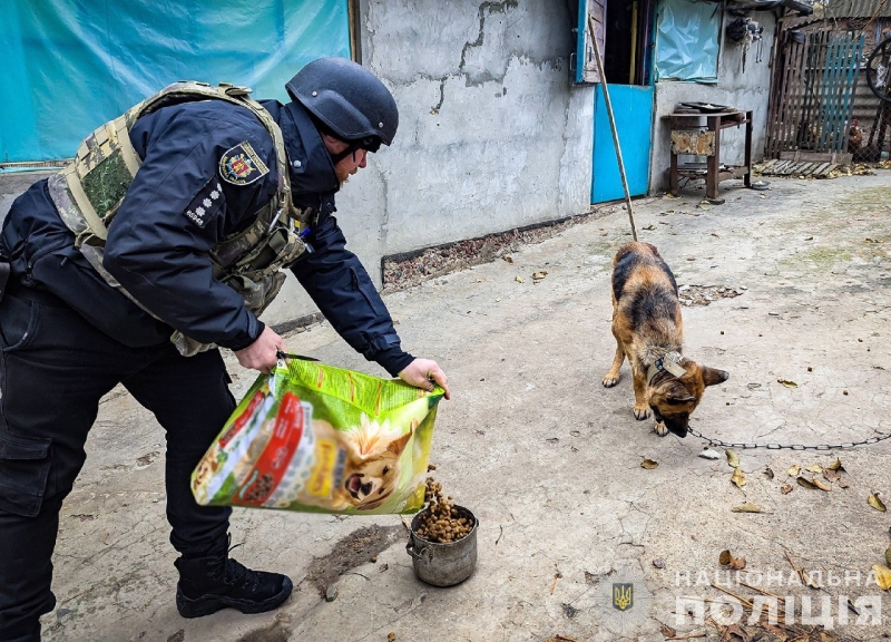 У прифронтовому Степногірську поліцейський офіцер громади опікується собаками, яких через обстріли покинули господарі