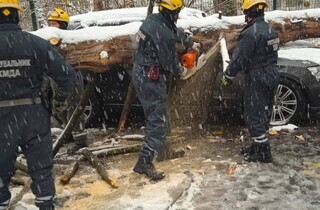 У Києві через негоду дерева падають на автомобілі (фото)