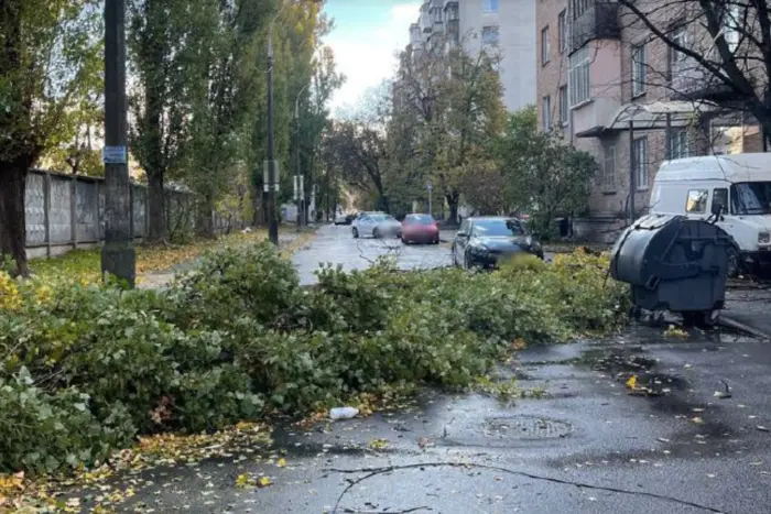 Зірвані дахи та повалені дерева: у Києві вітер наробив лиха (відео)