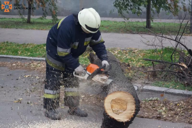 Наслідки негоди в Запоріжжі: сильний вітер валив дерева на дороги - ФОТО