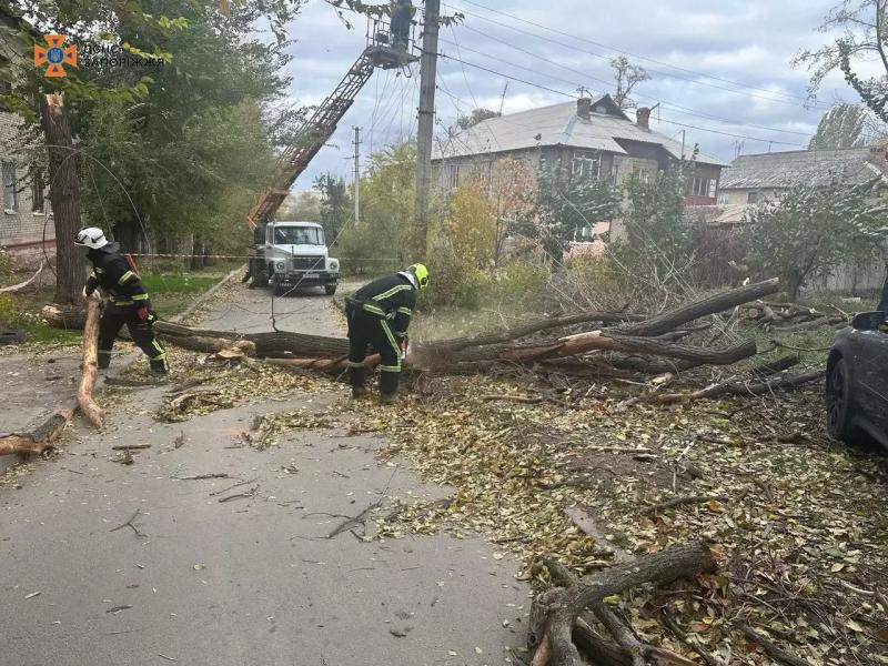 Наслідки негоди в Запоріжжі: сильний вітер валив дерева на дороги - ФОТО