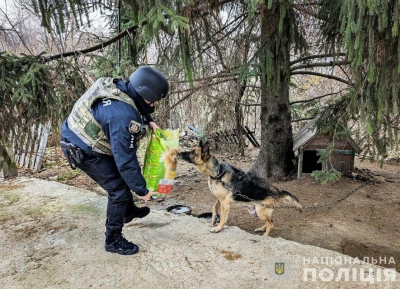 У прифронтовому Степногірську поліцейський офіцер громади опікується собаками, яких через обстріли покинули господарі