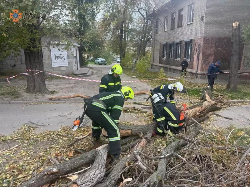 Наслідки негоди в Запоріжжі: сильний вітер валив дерева на дороги - ФОТО