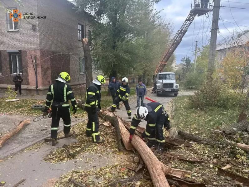 Наслідки негоди в Запоріжжі: сильний вітер валив дерева на дороги - ФОТО