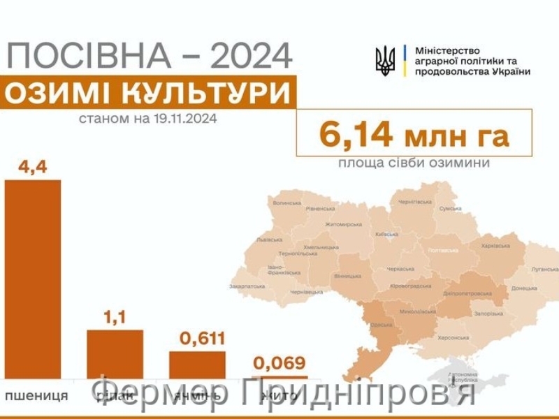 Дніпропетровщина засіяла озимими культурами 532 тис. га