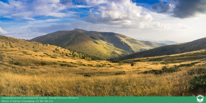 Краєвиди Свидовця увійшли в список із 10 найкращих світлин української природи у 2024 році