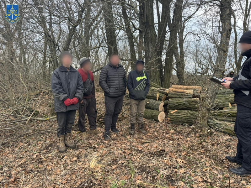 У Запорізькому районі викрили злочинну групу, яка займалася незаконною лісозаготівлею