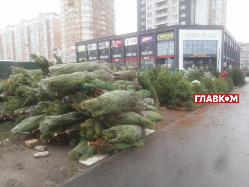 Скільки коштує новорічна ялинка у Києві: огляд цін