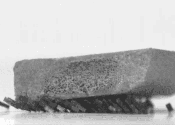 Рій роботів-мурах пересуває важкі предмети у відео корейських вчених