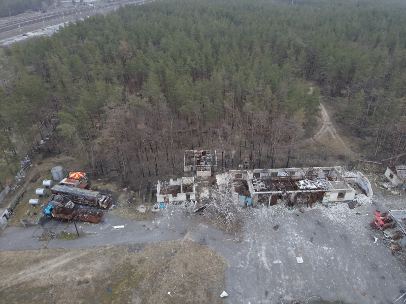 У парку «Святі гори» на Донеччині висадили нові дерева. Скільки займе відновлення?