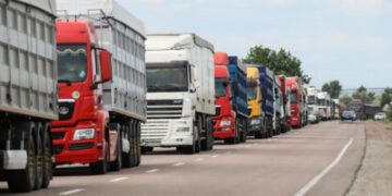 М’ясо – в Грецію, олію – в Малайзію: у які країни Буковина експортували агропродукцію у 2024 році