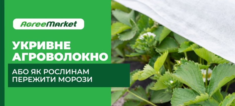Укривне агроволокно або як рослинам пережити морози