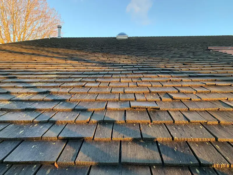 roofers vancouver