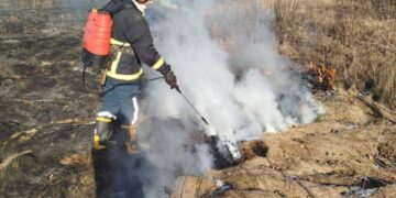 За добу в природних екосистемах області виникло 8 пожеж – вогонь охопив майже 10 га території