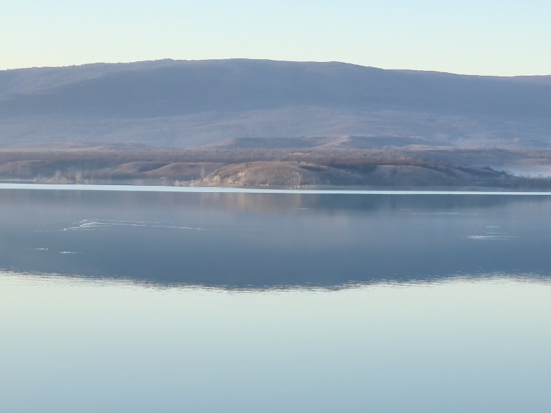 У Криму готуються випустити першу партію постраждалих від мазуту птахів – волонтери