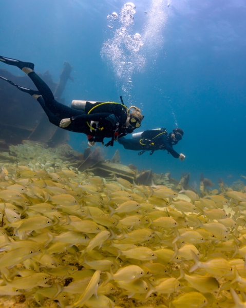 Garmin випустила Descent G2: дайв-комп'ютер із функціями смарт-годинника за $700