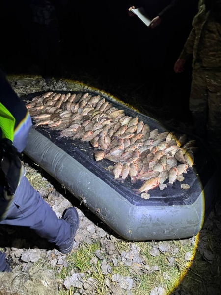 На Вінниччині браконьєру за 100 кілограмів риби виставлять штраф в 700 тис. грн